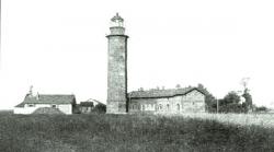 taranold.jpg